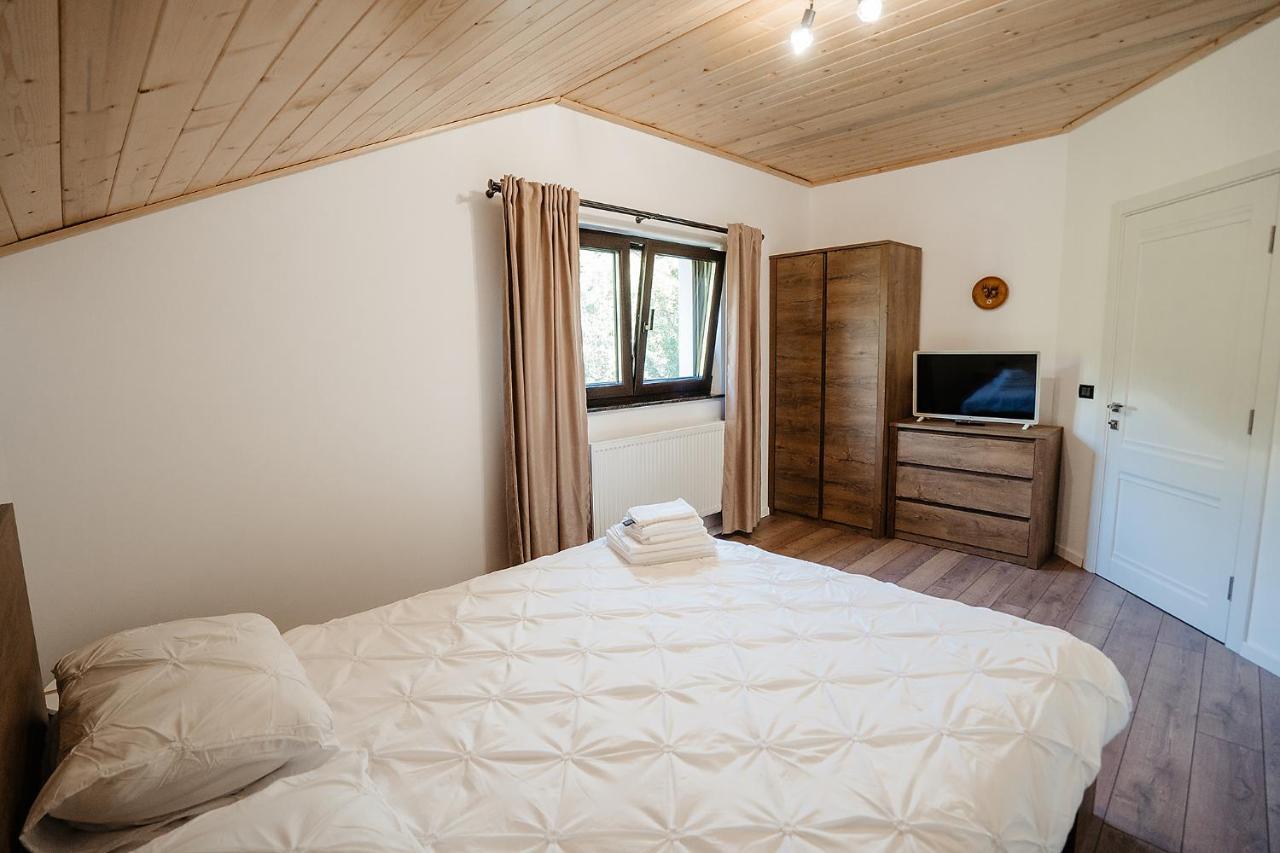 Garden Apartment Borsa (Maramures)