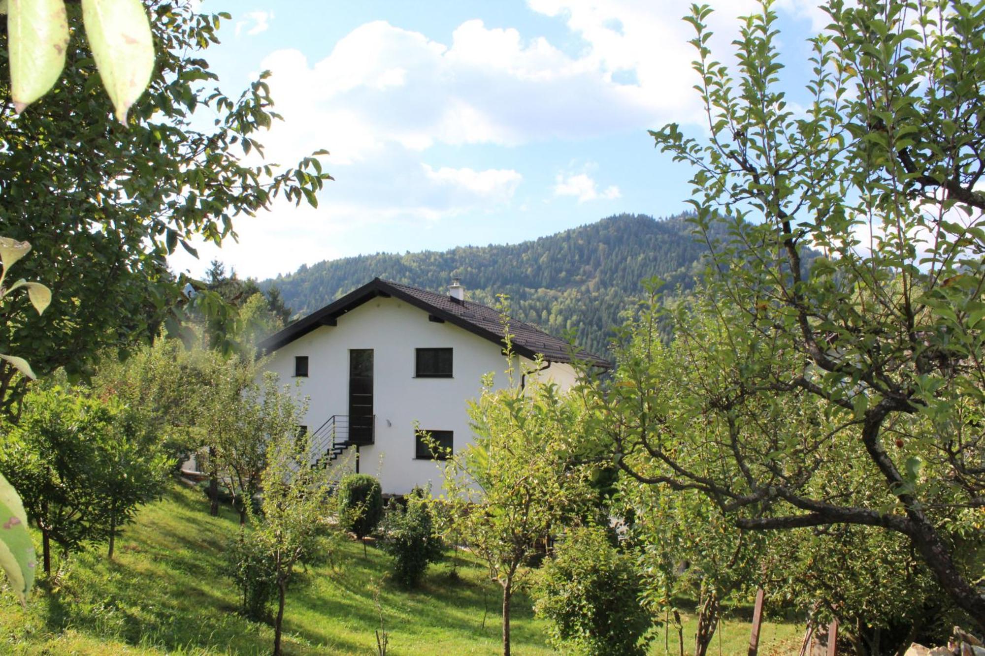 Garden * Borsa (Maramures)