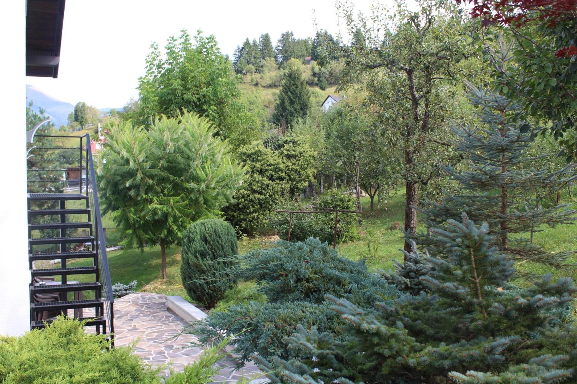 Apartment Garden Borsa (Maramures)