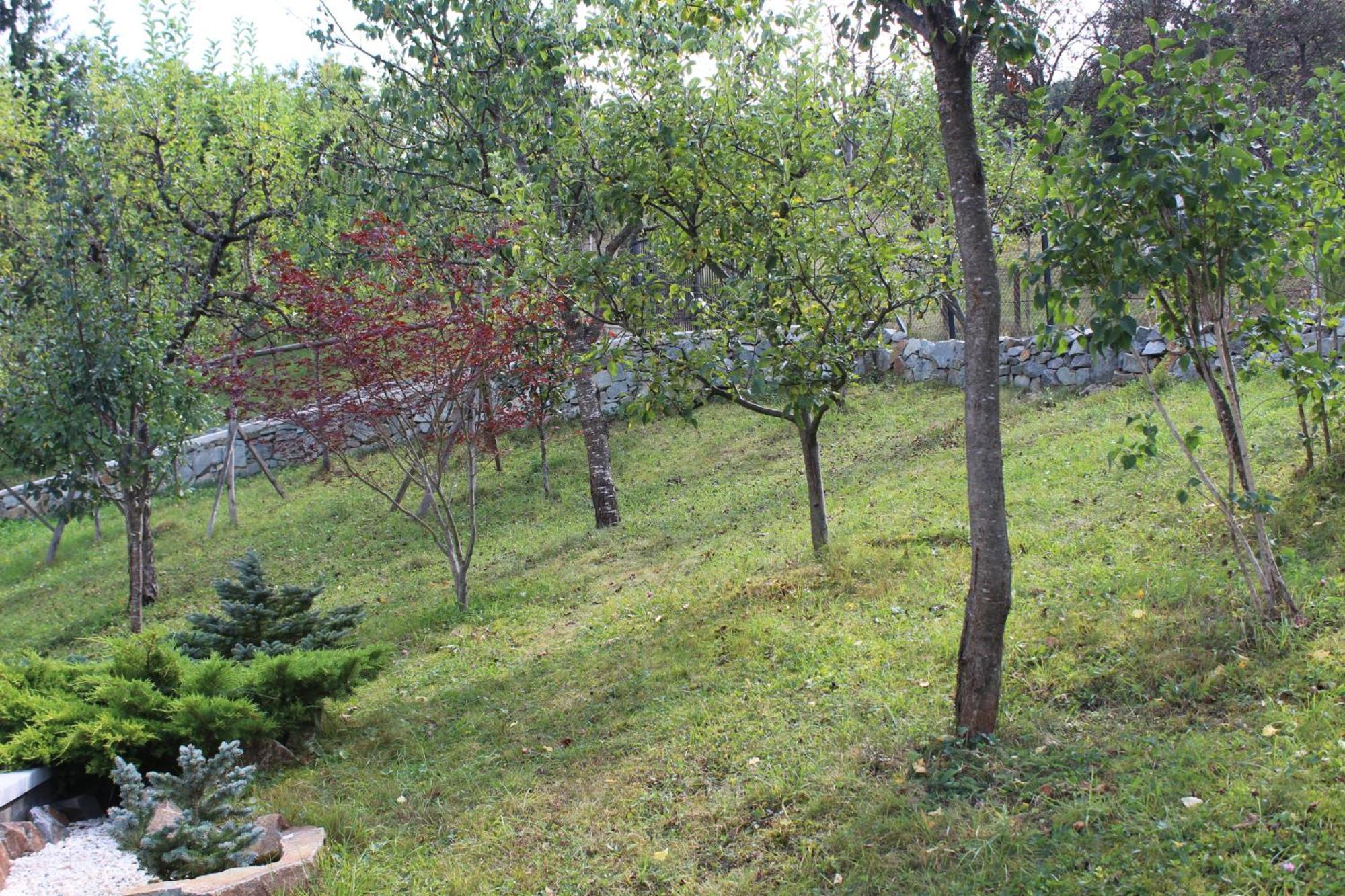 Apartment Garden